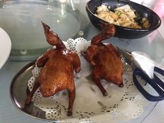 -石岐乳鸽村(南海第三分店)