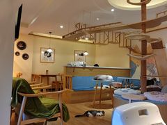 -滚猫咖啡·猫咖·猫友好撸猫(未来城店)