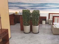 -紫藤园·天目湖大鱼头(南山竹海店)