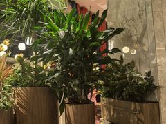 -半秋山西餐厅(巴南万达广场店)