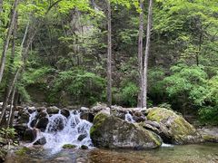 -牛背梁国家森林公园