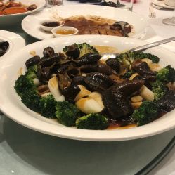 -上海雅居乐万豪侯爵酒店·宴会厅