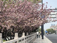 -南通濠河风景名胜区