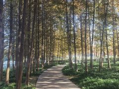 -云龙湖旅游景区