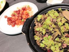 -滇铺子·云南特色菜·第九届野生菌美食节(曲靖万达店)