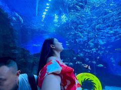 -海合安成都极地海洋公园