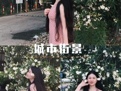 -龙大花卉苗木市场