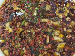 -西木兔(大圆祥店)