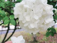 -杭州师范大学(下沙校区)