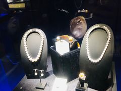 -湖南省地质博物馆