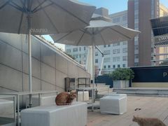 -UNI UNI(环亚凯瑟琳店)