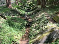 -神户市立六甲山牧场