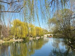 -济南大明湖景区