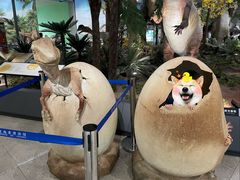 -湖南省地质博物馆