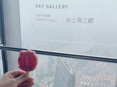 -上海中心大厦