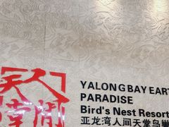 -三亚亚龙湾人间天堂鸟巢度假村