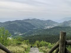 -武陵山森林公园