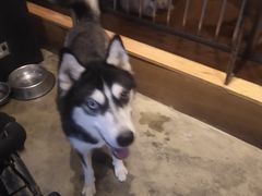 -萌喵咖啡屋(人民东路4号口M16商铺店)