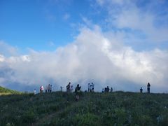 -白草畔自然风景区