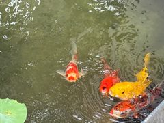 -漫笙舍Manse·咖啡·民宿