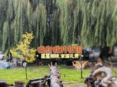 -老村长农家院