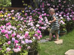 -HERRE·FARM 赫尔露营农场·团建聚会包场