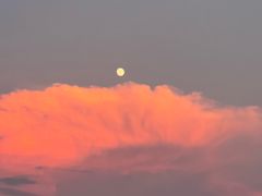 -千岛湖湖人皮划艇俱乐部