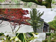 -台州府城(东湖)