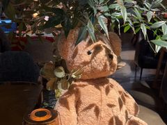 -咖法森林·咖啡  酒吧(天河店)