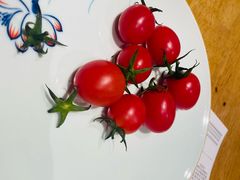 -山东宾馆·齐鲁苑餐厅