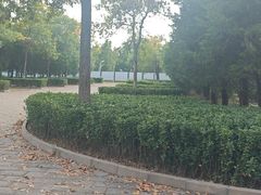 -绿堤公园