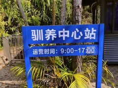 -广东惠东海龟国家级自然保护区