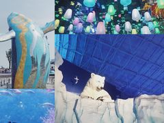 -九龙餐厅(大沽路店)