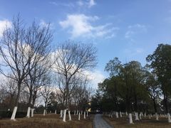 -白塘生态植物园