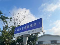 -日照海滨国家森林公园