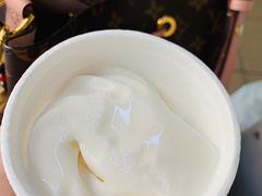 -洪馨椰子