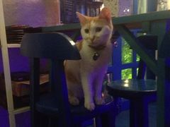 iphone_upload_pic-Sirena海妖日咖夜酒