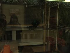 -裕丰源滋补烩面(天赋路店)