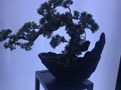 -滇铺子(欣都龙城店)