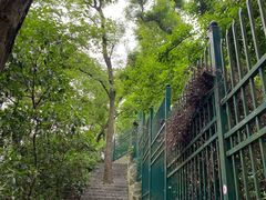 -紫金山山顶公园