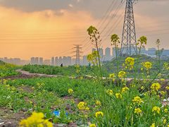 -西南政法大学(渝北校区)