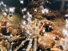 -蟹之国·精品蟹料理(极地店)