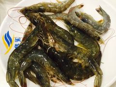 -银鲨海鲜烤肉火锅自助餐厅(五星店)