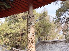 -建水文庙