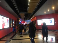 -万达影城(锦华万达广场IMAX店)