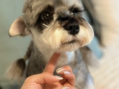 -FAELING PETS美天灵宠物(合生汇店)