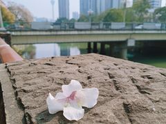 -红星桥(地铁站)