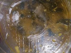 -春来和(汉城南路店)