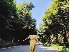 -铁山坪森林公园