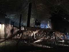 -世界恐龙谷景区